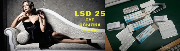 индика Белокуриха