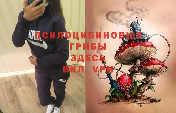 индика Белокуриха