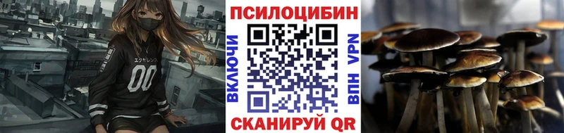 Галлюциногенные грибы MAGIC MUSHROOMS  закладки  Вяземский 